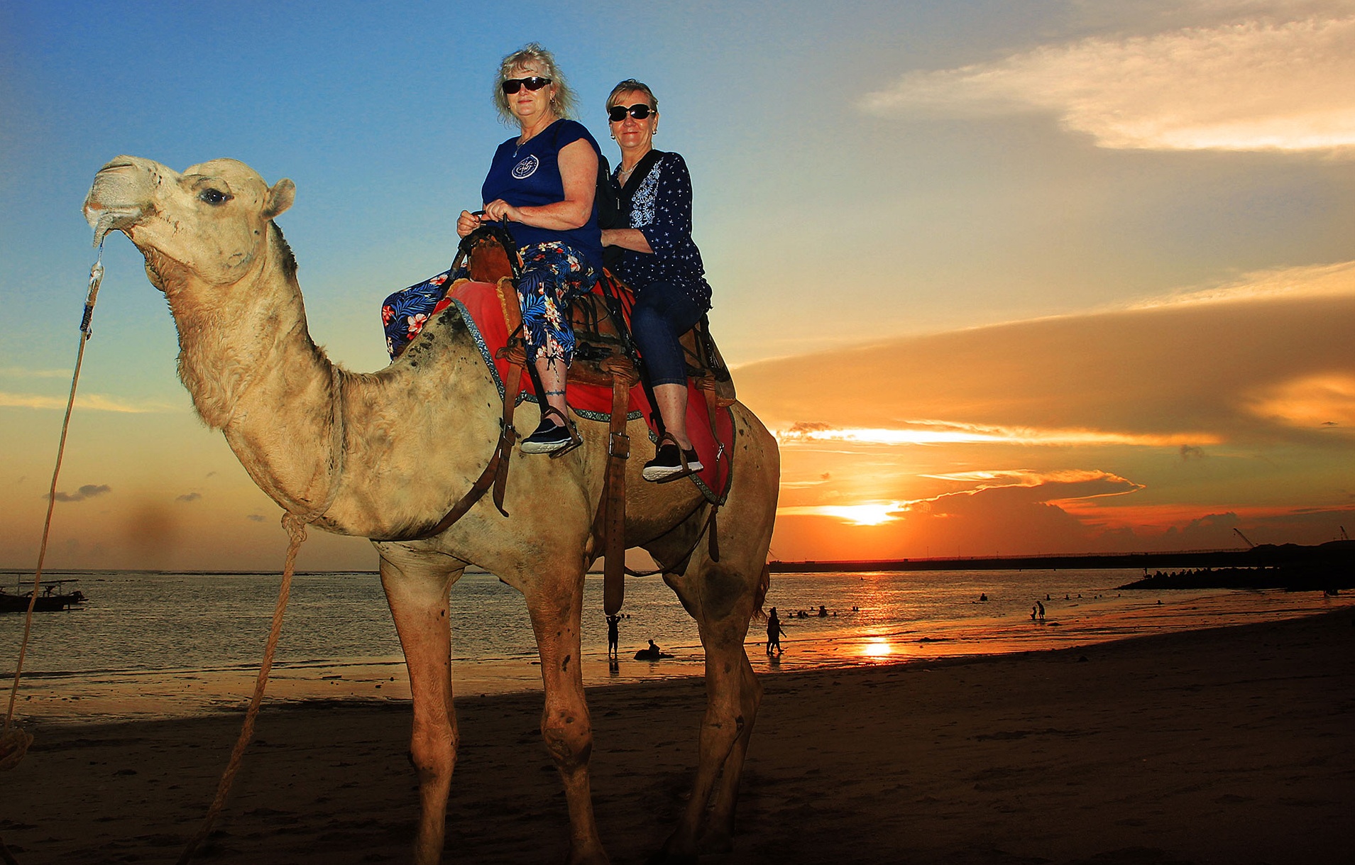 Bali Camel Sunset Riding and Jimbaran Seafood Dinner Package ...